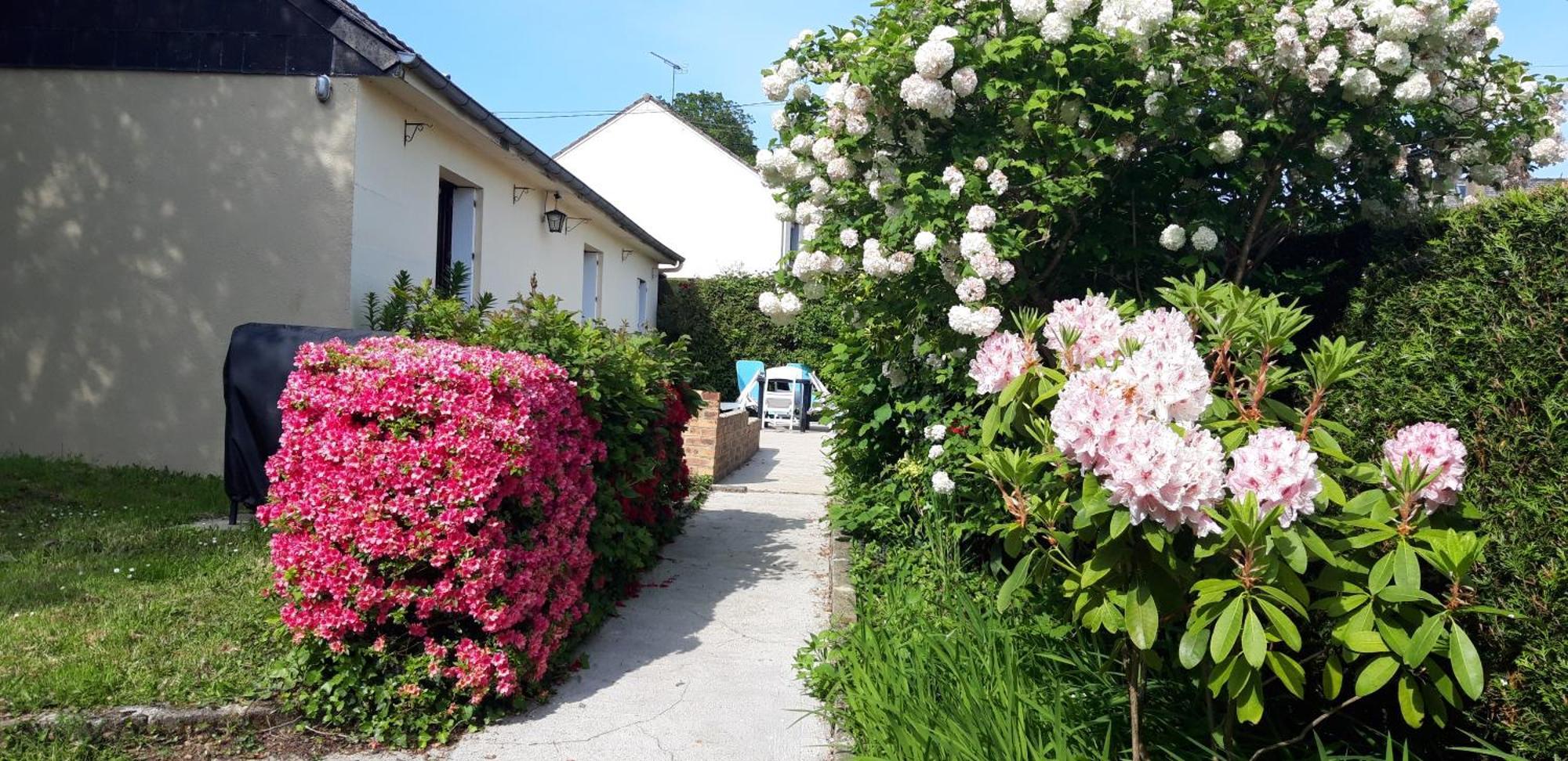 Maison Chaleureuse Avec Insert En Campagne Villa Saint-Mars-sur-la-Futaie Eksteriør billede